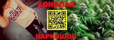 крисы Партизанск