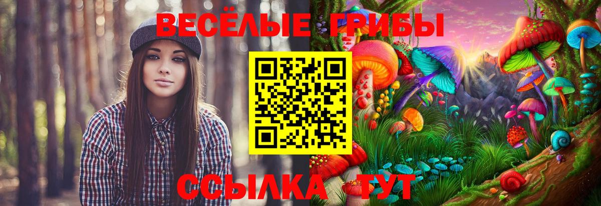 Галлюциногенные грибы мицелий  Вход с VPN  Ялуторовск  Псилоцибиновые грибы Psilocybe 