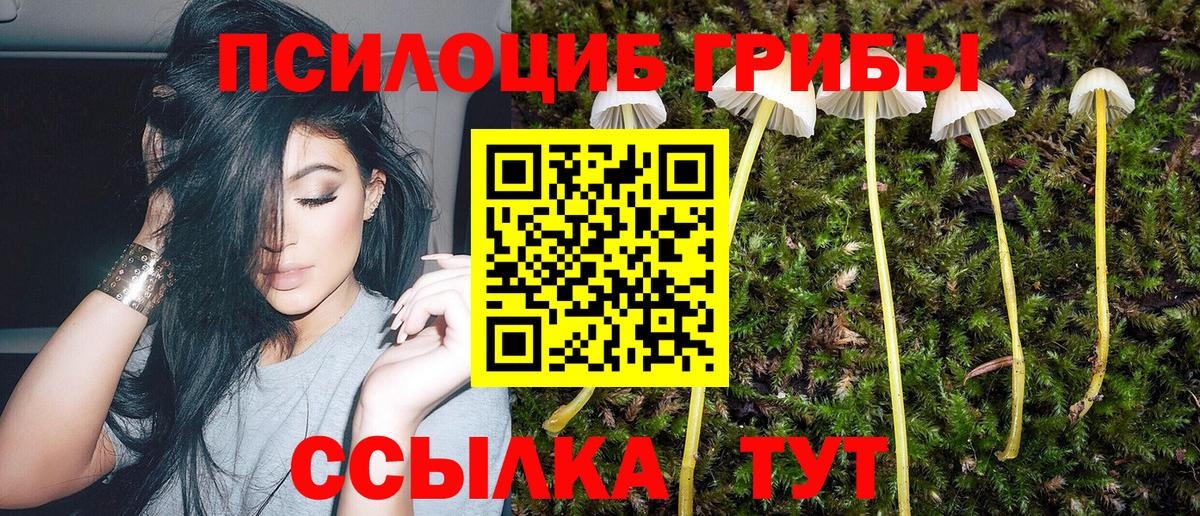 Псилоцибиновые грибы мицелий Ялуторовск